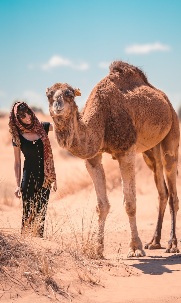 camel,women,desert