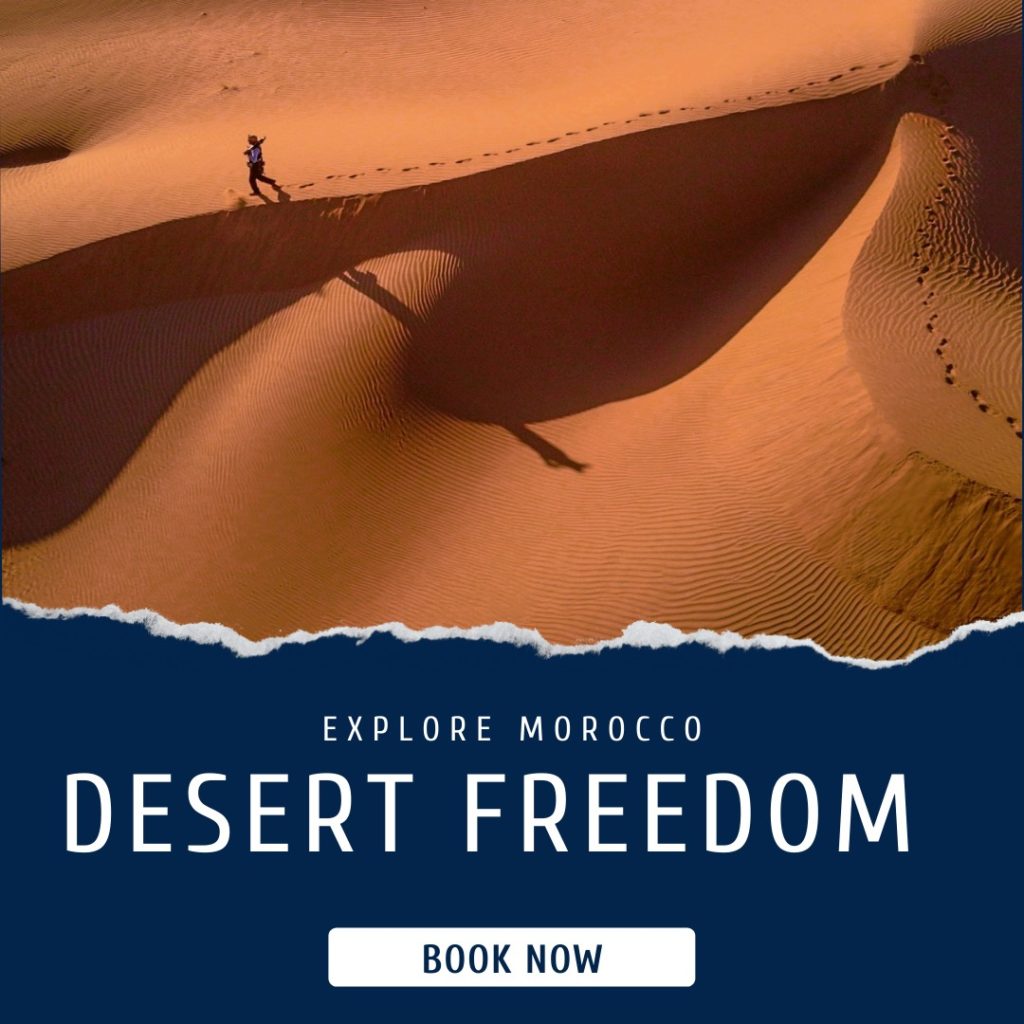 desert freedom,sahara serenity
