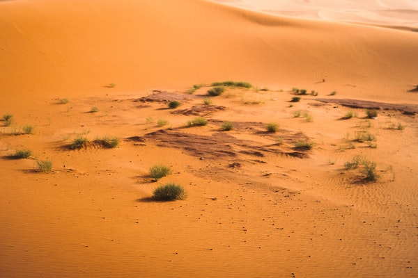 desert,3 days fes to Marrakech