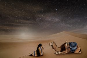 desert, night, starry sky