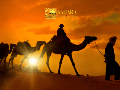 Vip trips in Morocco